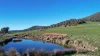 518 Batlow Road, Tumbarumba, NSW 2653-Image