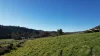 518 Batlow Road, Tumbarumba, NSW 2653-Image