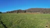 518 Batlow Road, Tumbarumba, NSW 2653-Image