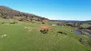 518 Batlow Road, Tumbarumba, NSW 2653-Image
