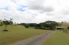 519 Ambrose Bracewell Road, Ambrose, Qld 4695