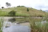 519 Ambrose Bracewell Road, Ambrose, Qld 4695-Image