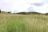 519 Ambrose Bracewell Road, Ambrose, Qld 4695-Image