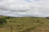 519 Ambrose Bracewell Road, Ambrose, Qld 4695-Image