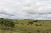 519 Ambrose Bracewell Road, Ambrose, Qld 4695-Image