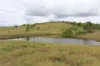 519 Ambrose Bracewell Road, Ambrose, Qld 4695-Image