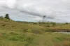 519 Ambrose Bracewell Road, Ambrose, Qld 4695-Image