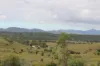 519 Ambrose Bracewell Road, Ambrose, Qld 4695-Image