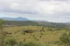 519 Ambrose Bracewell Road, Ambrose, Qld 4695-Image