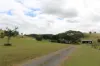 519, Ambrose QLD 4695-Image