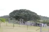 519, Ambrose QLD 4695-Image