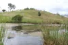 519, Ambrose QLD 4695-Image