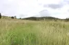 519, Ambrose QLD 4695-Image