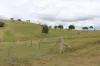 519, Ambrose QLD 4695-Image