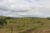 519, Ambrose QLD 4695-Image