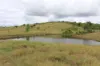 519, Ambrose QLD 4695-Image
