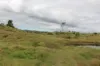 519, Ambrose QLD 4695-Image