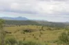 519, Ambrose QLD 4695-Image