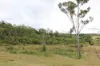 519, Ambrose QLD 4695-Image