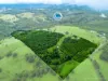 519 Cross Road, Numulgi, NSW 2480-Image
