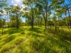 52 Raymont Drive North, Glenore Grove, Qld 4342-Image