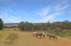 52 Wilson Drive, Oberon, NSW 2787-Image