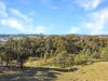 52 Wilson Drive, Oberon, NSW 2787-Image