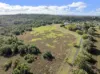 520 Linthorpe Road, Pittsworth QLD 4356-Image