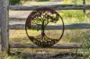 520 Linthorpe Road, Pittsworth QLD 4356-Image
