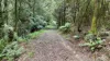 5225 Colac-Lavers Hill Road, Lavers Hill, Vic 3238-Image