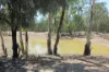 525 Weranga North Road, Weranga, Qld 4405-Image