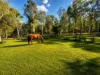 53 - 79 Greensward Road, Tamborine, Qld 4270-Image