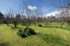 53 Malabar Road, Holbrook NSW 2644-Image