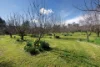 53 Malabar Road, Holbrook NSW 2644-Image