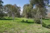 53 Malabar Road, Holbrook NSW 2644-Image
