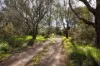 53 Malabar Road, Holbrook NSW 2644-Image