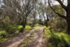 53 Malabar Road, Holbrook NSW 2644-Image