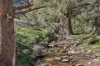 53 Peach Tree Lane, Mudgee, NSW 2850-Image