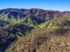 53 Peach Tree Lane, Mudgee, NSW 2850-Image