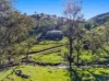53 Peach Tree Lane, Mudgee, NSW 2850-Image