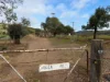531 Werribee Vale Road, Maddingley VIC 3340-Image