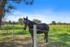 532  Murchison - Longwood Road, Wahring, Vic 3608-Image