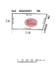 535 Old Boundary Road, Allendale East, SA 5291-Image
