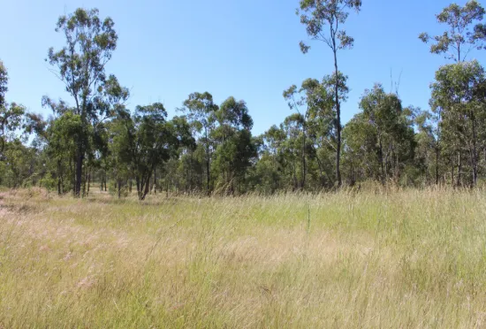 53821 Bruce Highway, Machine Creek QLD 4695-Image