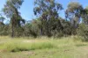 53821 Bruce Highway, Machine Creek QLD 4695-Image