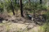 53821 Bruce Highway, Machine Creek QLD 4695-Image
