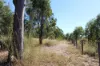 53821 Bruce Highway, Machine Creek QLD 4695-Image