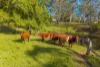 5396 Oxley Highway, Ellenborough, NSW 2446-Image