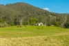 5396 Oxley Highway, Ellenborough, NSW 2446-Image