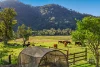 5396 Oxley Highway, Ellenborough, NSW 2446-Image